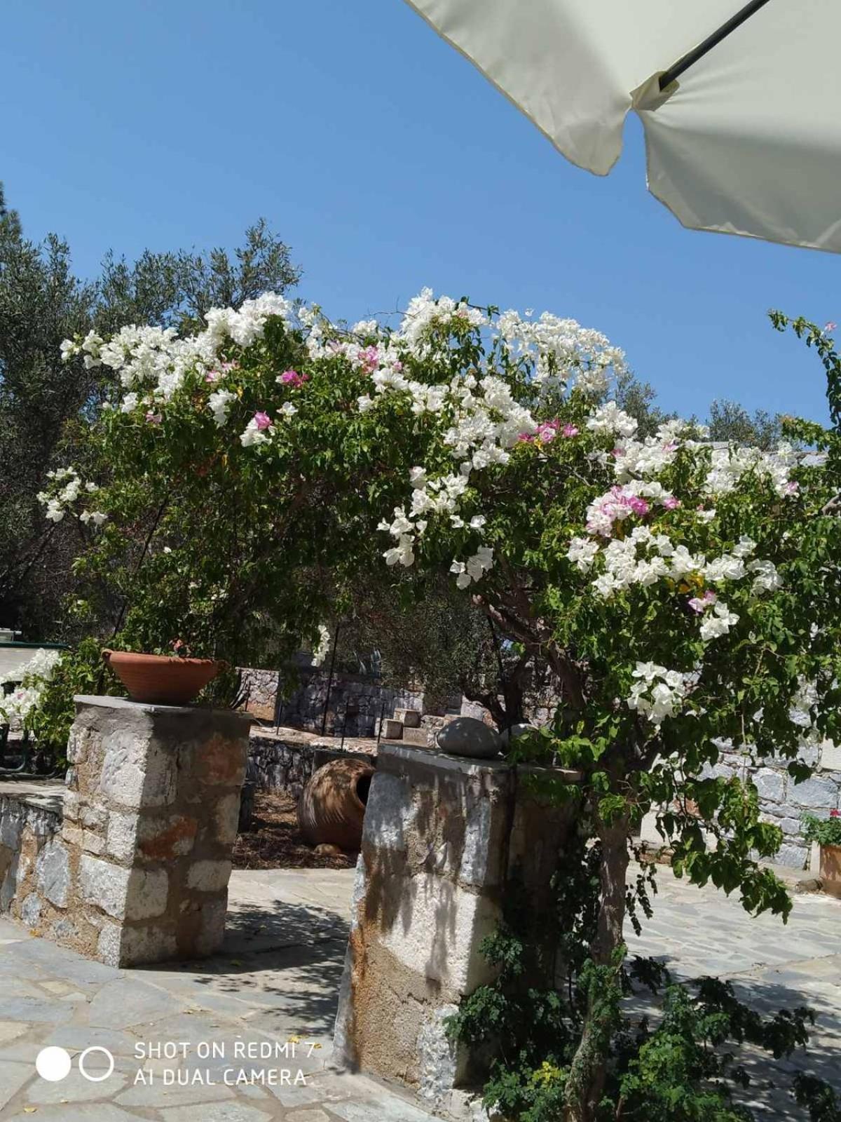 Charouda Stone Tower Xenonas Apartment Pyrgos Dirou Luaran gambar